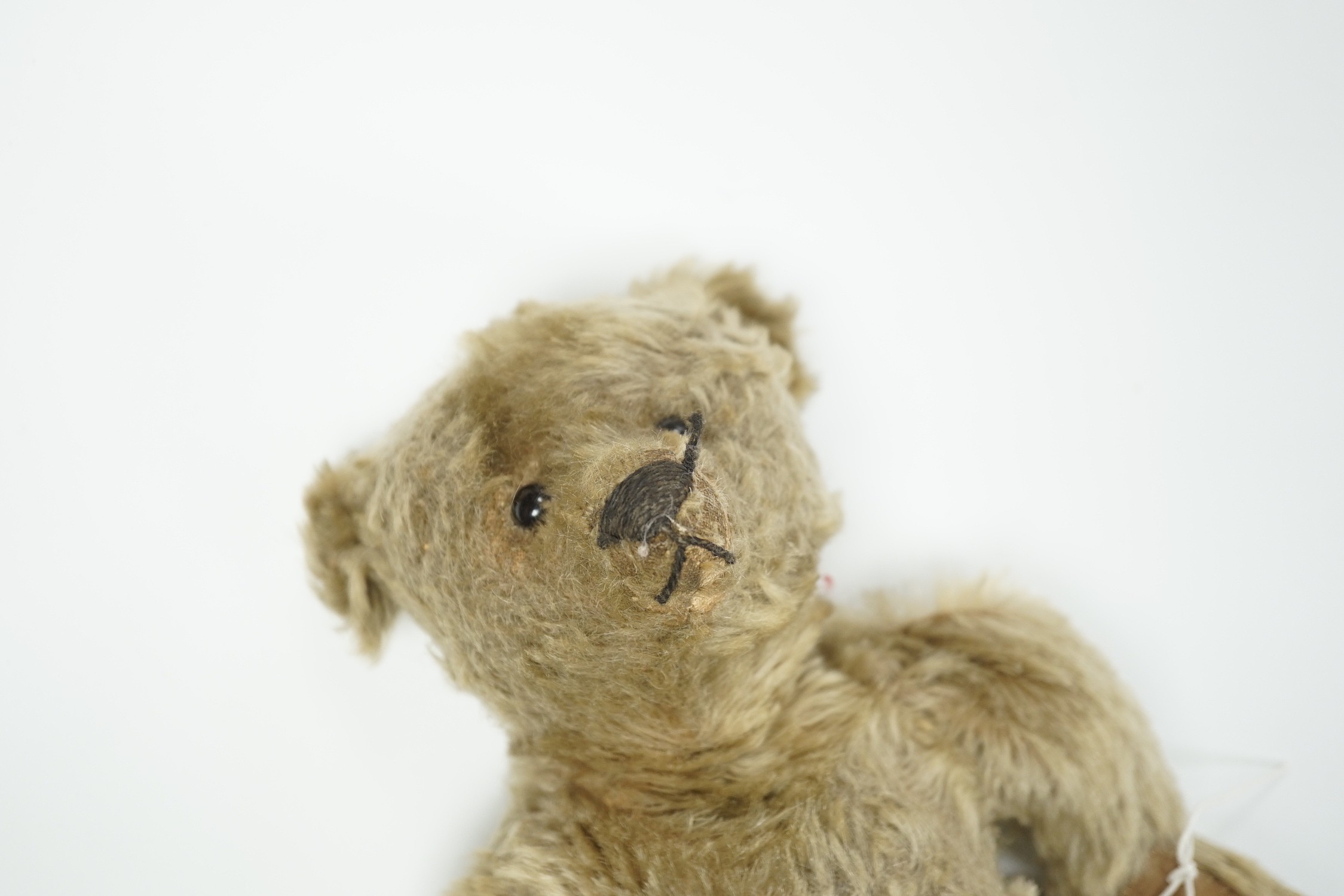 A Steiff teddy bear with button in ear, circa 1910, 35cm